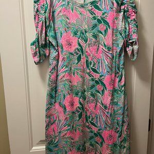 Lily Pulitzer Multicolor Large Dress